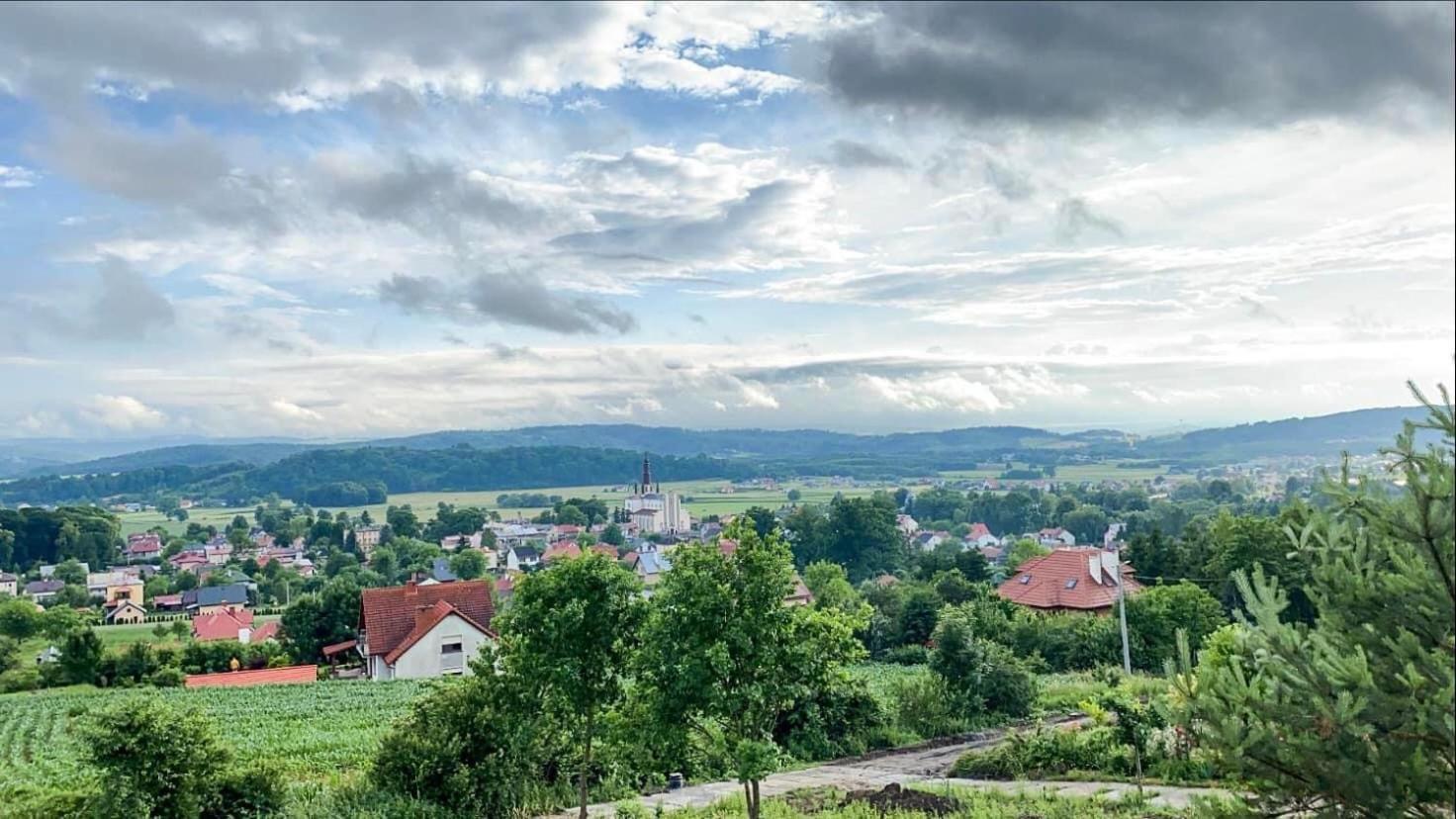 Domek Na Wzgorzu Villa Dubiecko Bagian luar foto